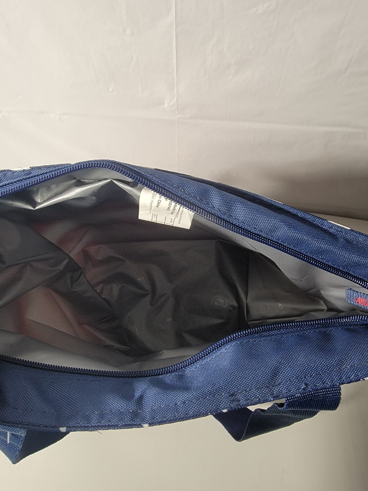 Igloo Bag Cooler NWT