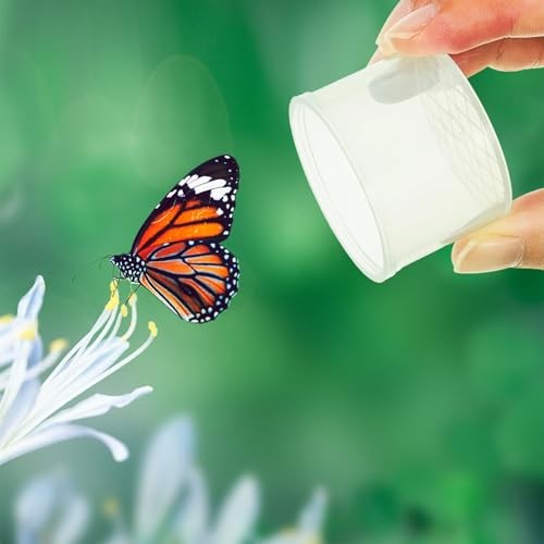 20 Pcs Critter Keeper Bug Magnifier Insect Container with Lid - Bug Catcher