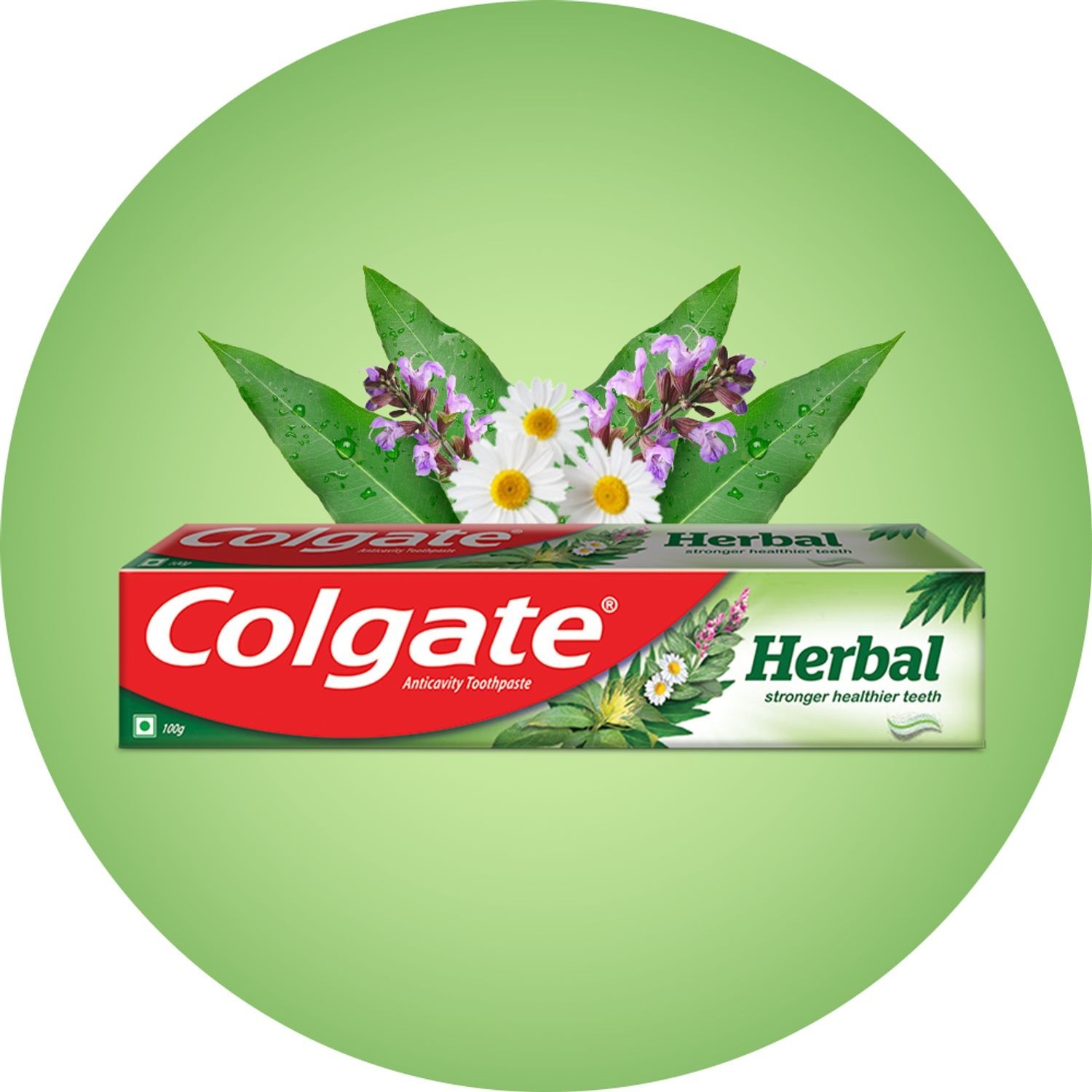 Colgate Herbal Anticavity Toothpaste 200g (Pack of 6)