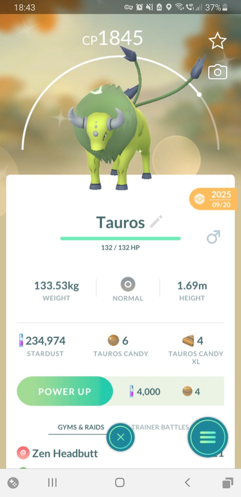 🐂Shiny (Dazzling) Tauros Pokemon GO🐂 Mini PTC 80k