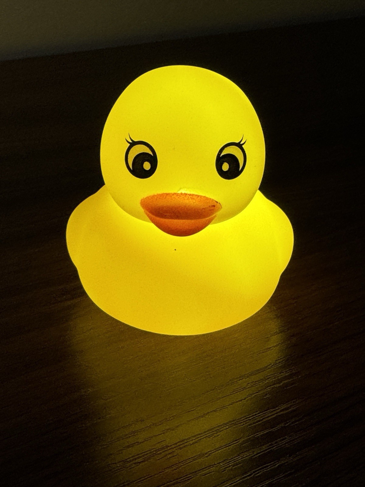 Light Up Duck