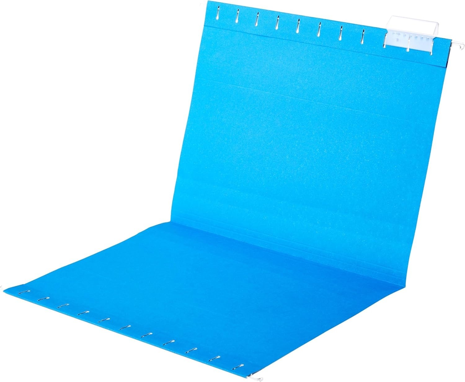 Basics Hanging Organizer File Folder for Efficient Filing Assorted Colors 25pack