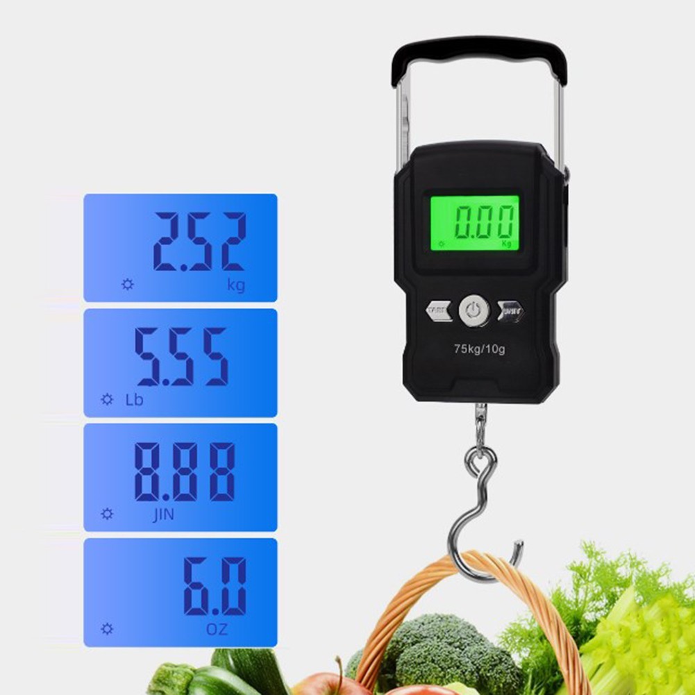 Fishing Electronic Digital Scale with Retractable Handle 10g 75kg Range
