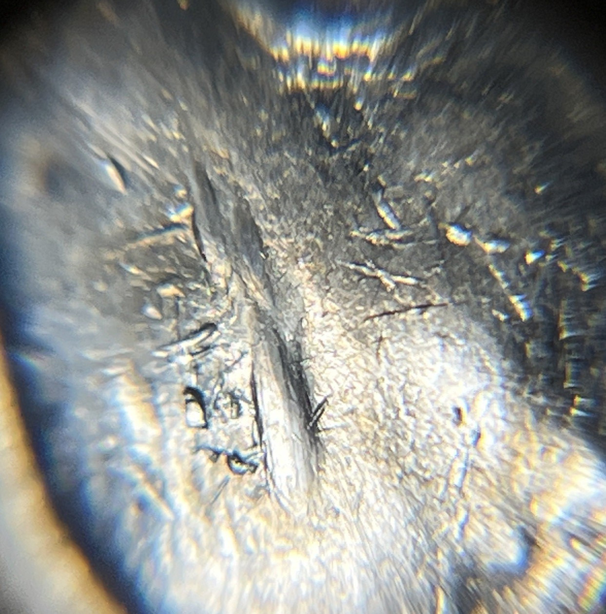 1971 D Eisenhower Dollar Errors Strike Through Grease Die Cracks Many Errors