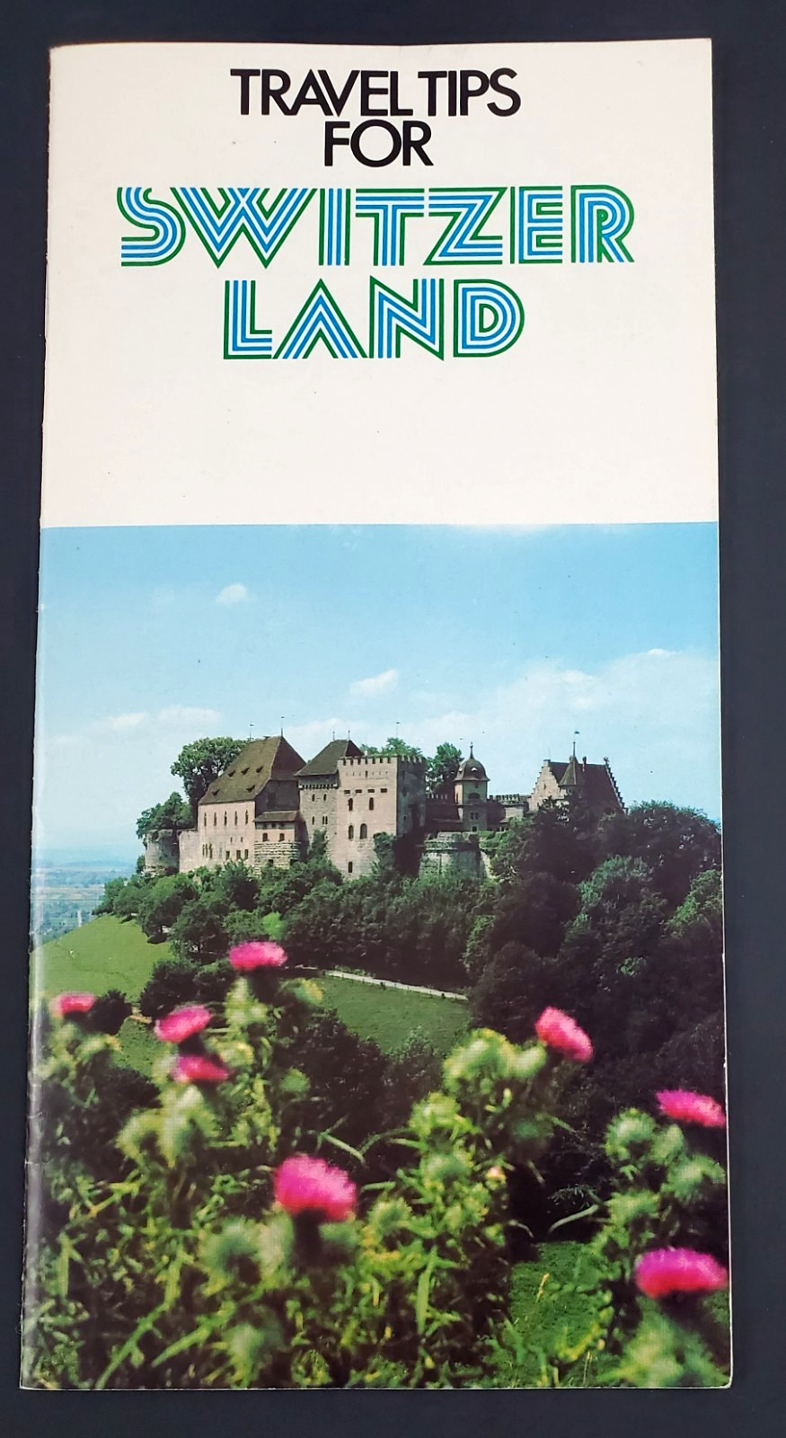 1970s Switzerland Travel Tips Tourist Sports Driving Vintage Travel Brochure