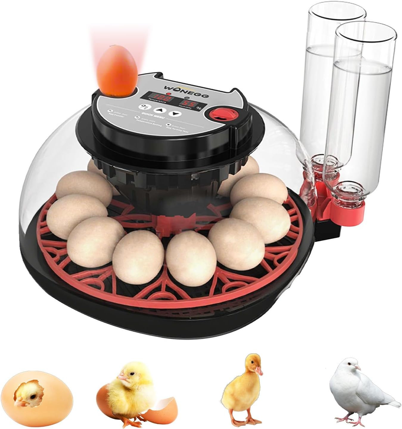 Automatic Egg Incubator, 12 Egg Incubators for Hatching Eggs with Automatic Turn
