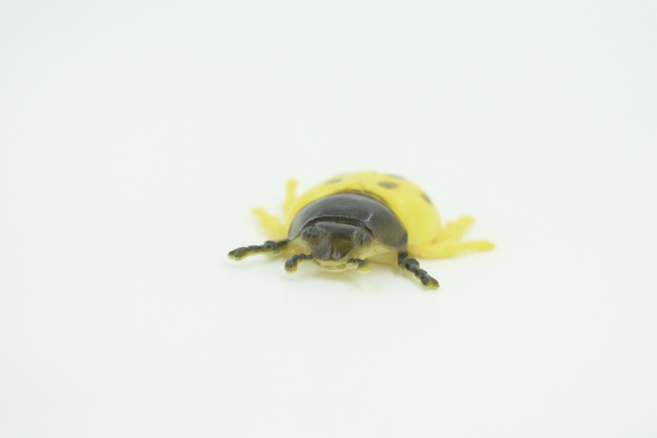 Yellow Ladybug Toy, Rubber Bug, Realistic Hand Painted Model 1 1/2" US20 B44
