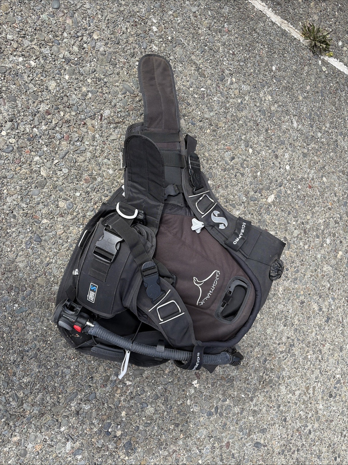 SCUBAPRO NIGHTHAWK BCD Large INTEGRATED WEIGHT POCKETS BC SCUBA DIVE
