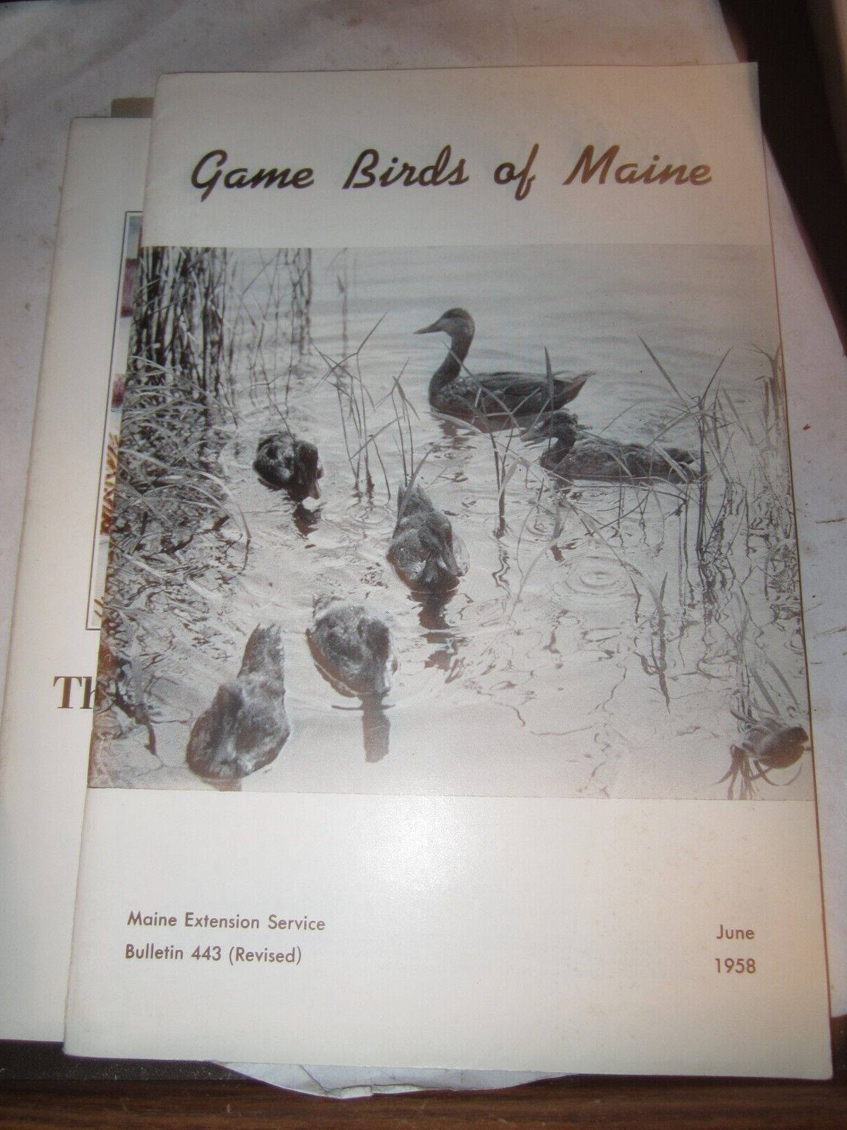 1958 Game Birds of Maine, Ornithology, Birding Geese Ducks Pheasants Woodcocks