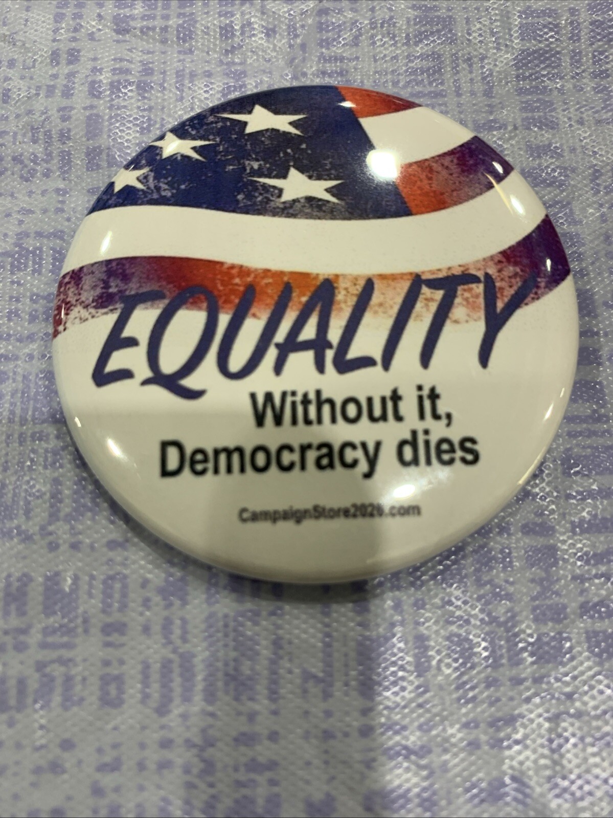 2025 Equality Political Pinback Button 2.25 Inch