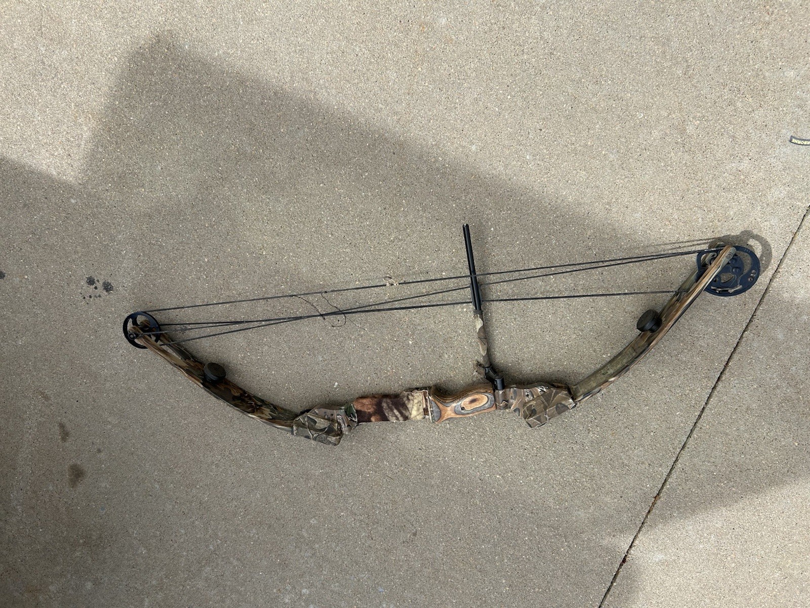 Bear Expedition Compound Bow