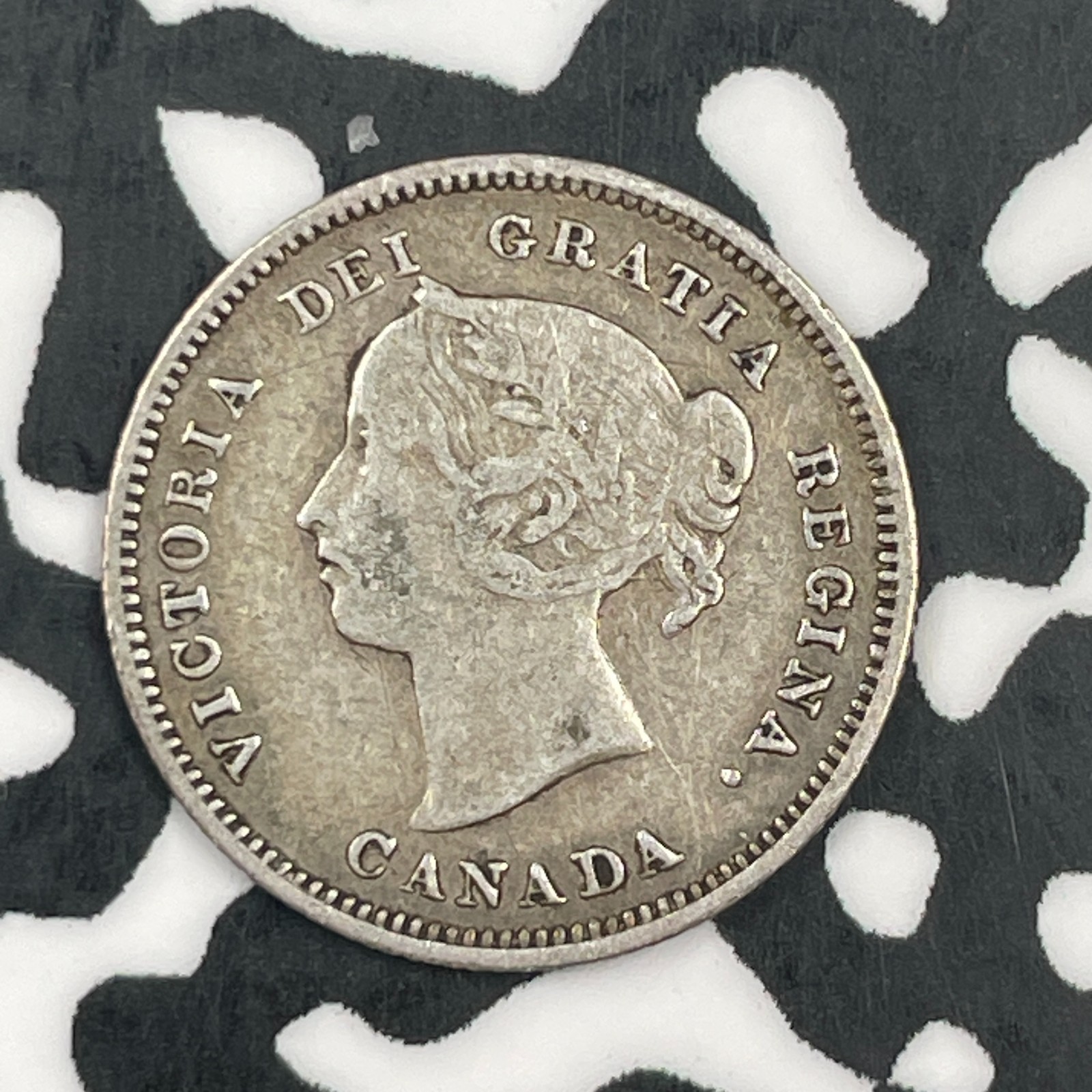 1886 Canada 5 Cents Lot#F6927 Silver!