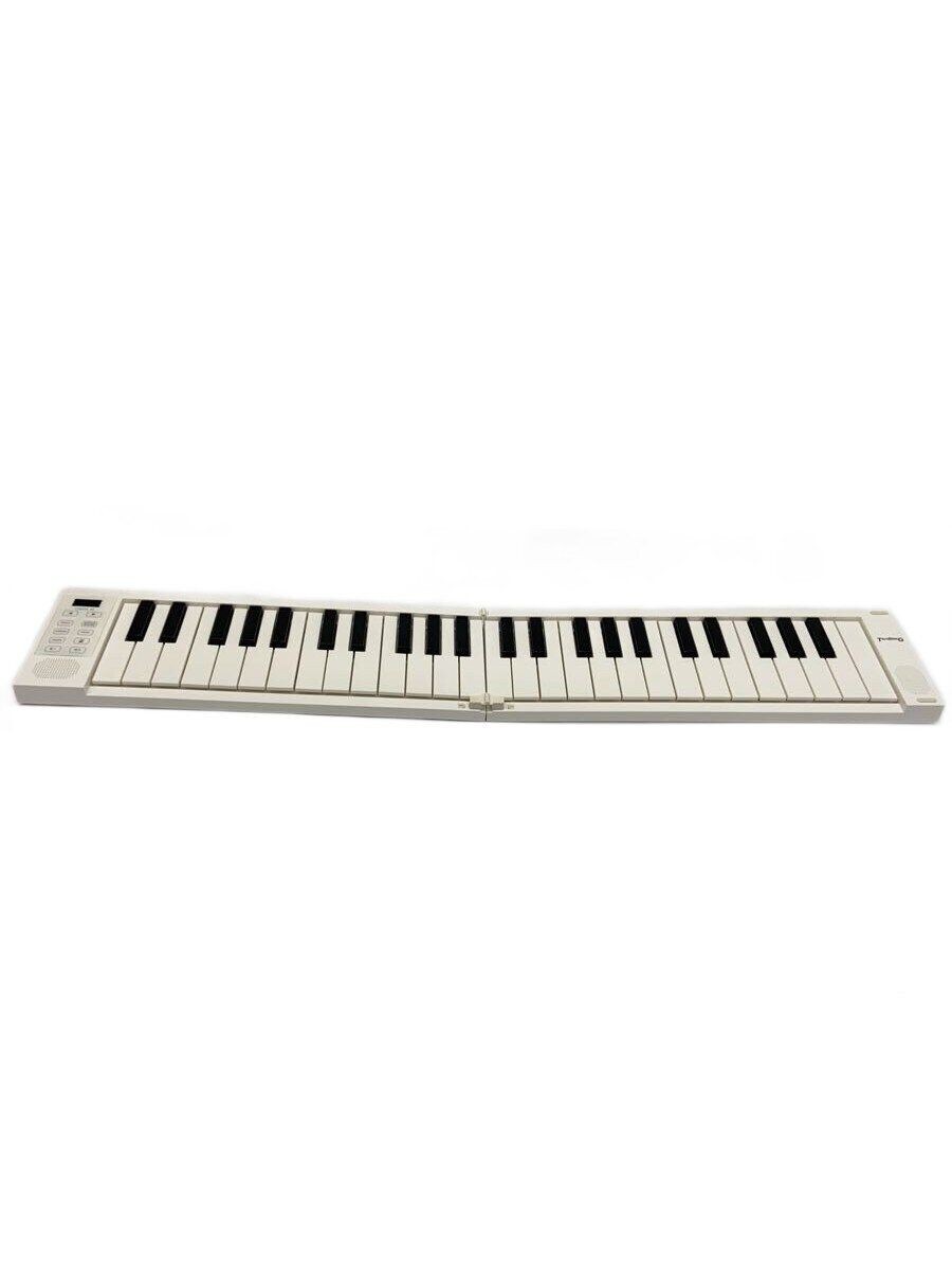 TAHORNG Electronic Piano ORIPIA49 Used