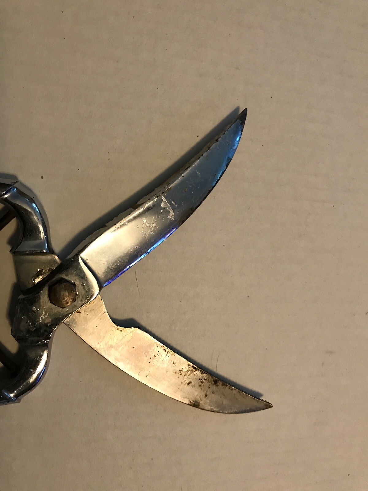 E. Spitzer SOLINGEN GERMANY Chrome & Antler HANDLE HUNTING Snips Scissors