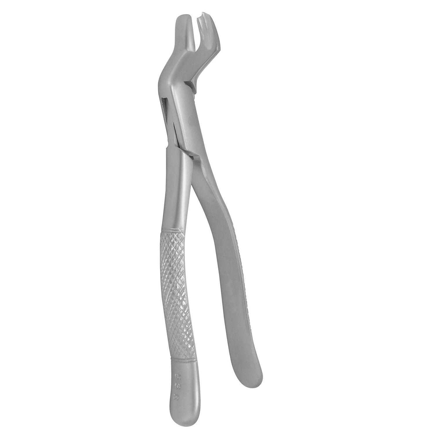 Dental Extracting Forceps #53R For Upper 1st & 2nd Molar Extraction German Grade