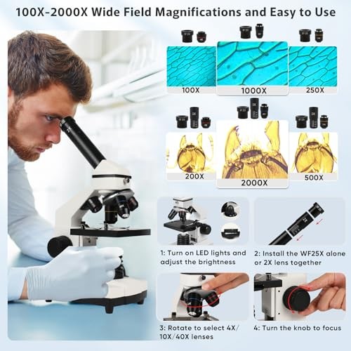 Microscope for Adults Professional:Compound Microscope for Kids 8-12,100X