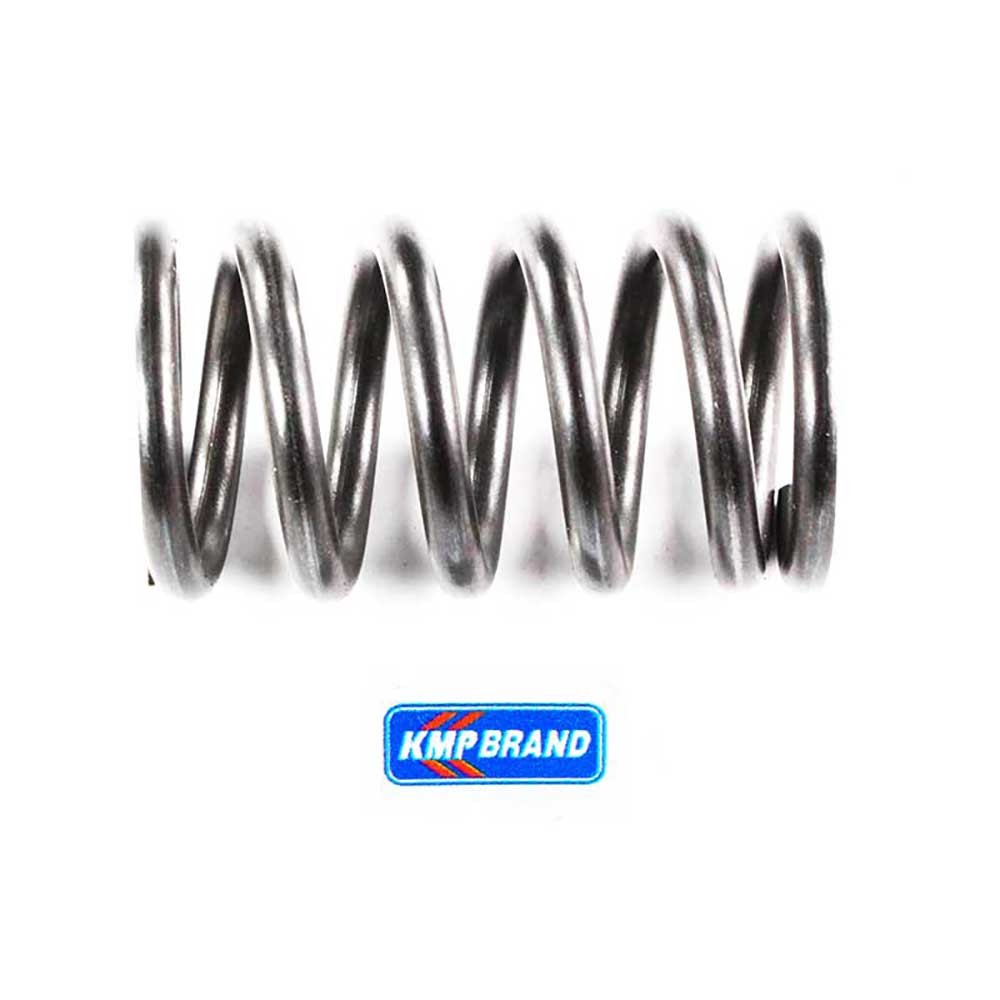 3637057M1 VALVE SPRING - OUTER Suitable For MASSEY FERGUSON Shipping from Texas