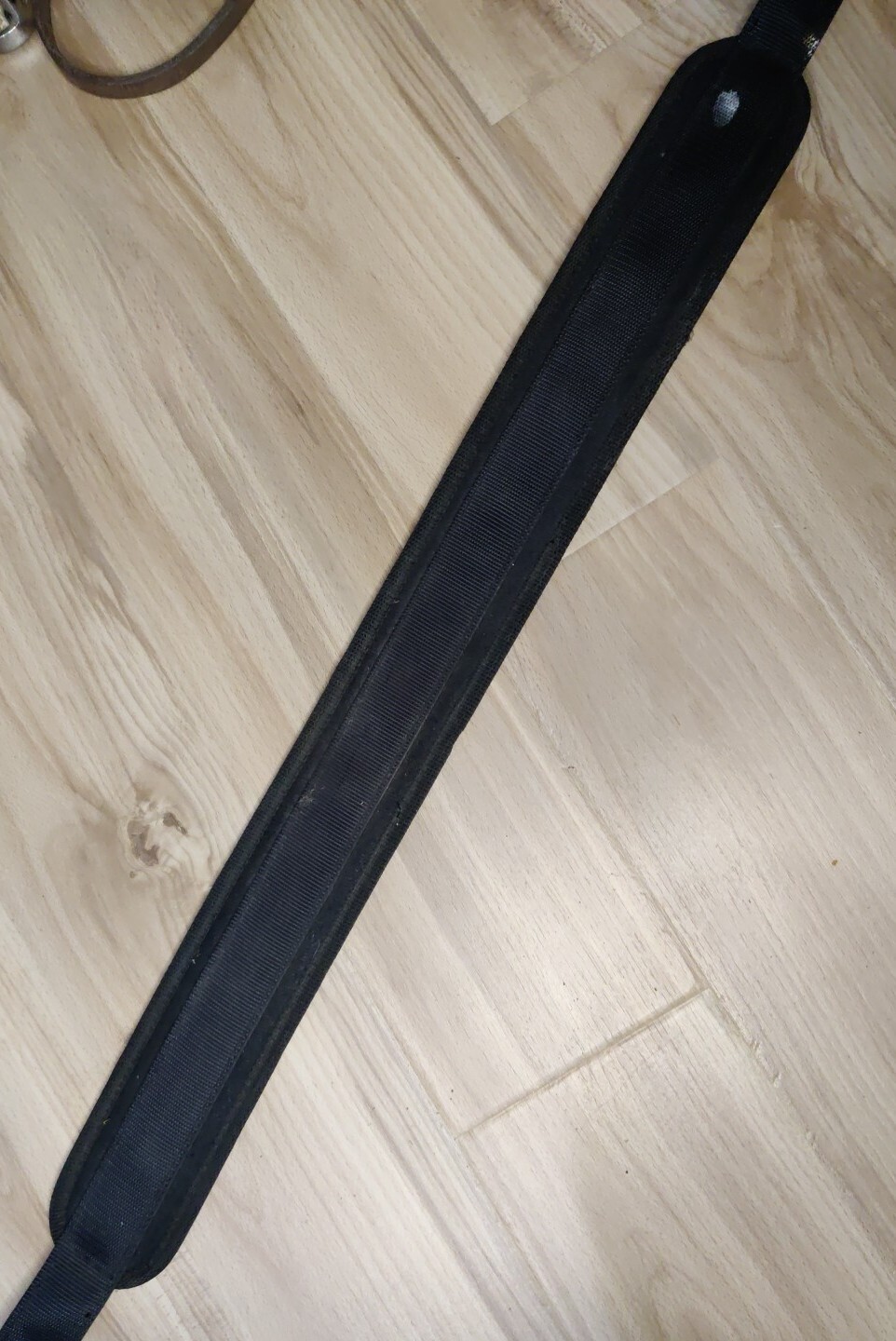 Nylon Horse Training Equipment