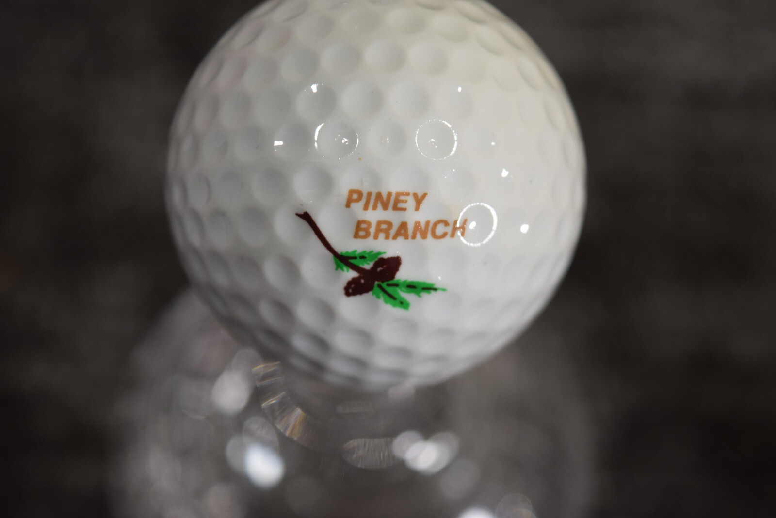 Piney Branch International Open Country Club Course Links Logo Golf Ball