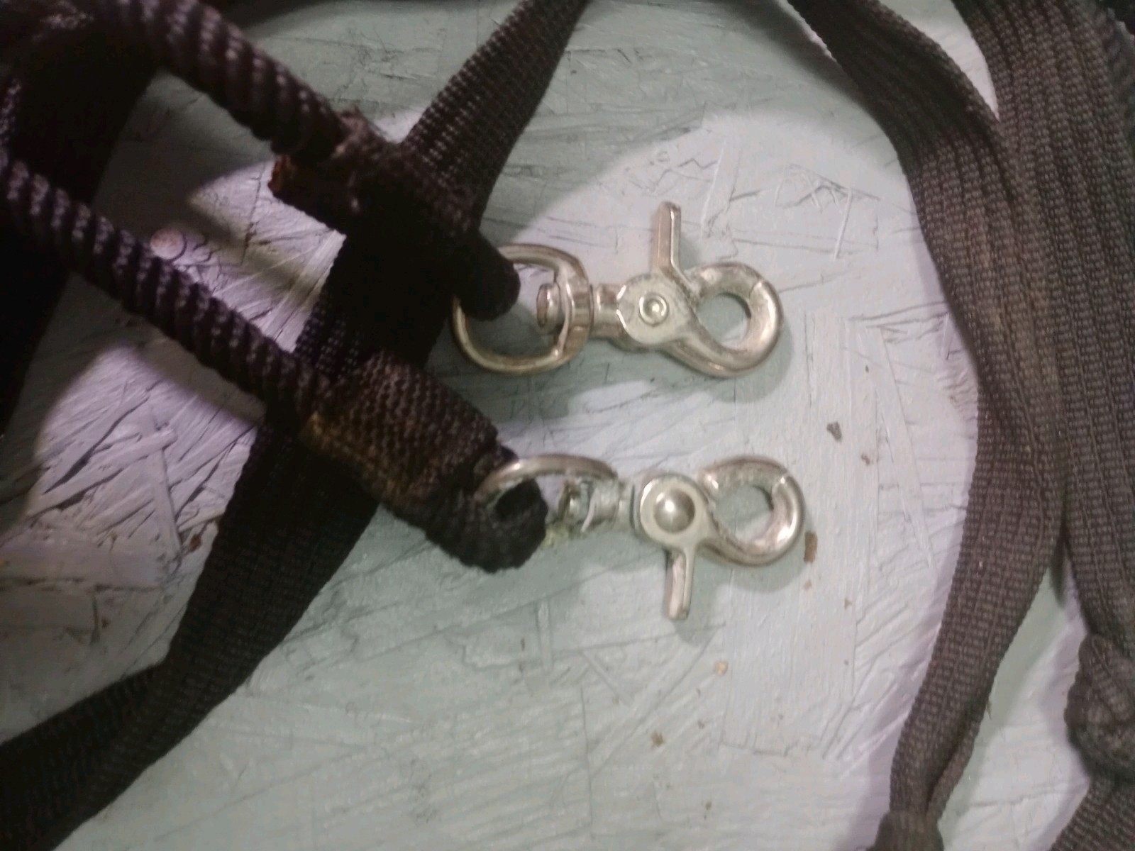 Black Nylon Training Reins, 8' Long