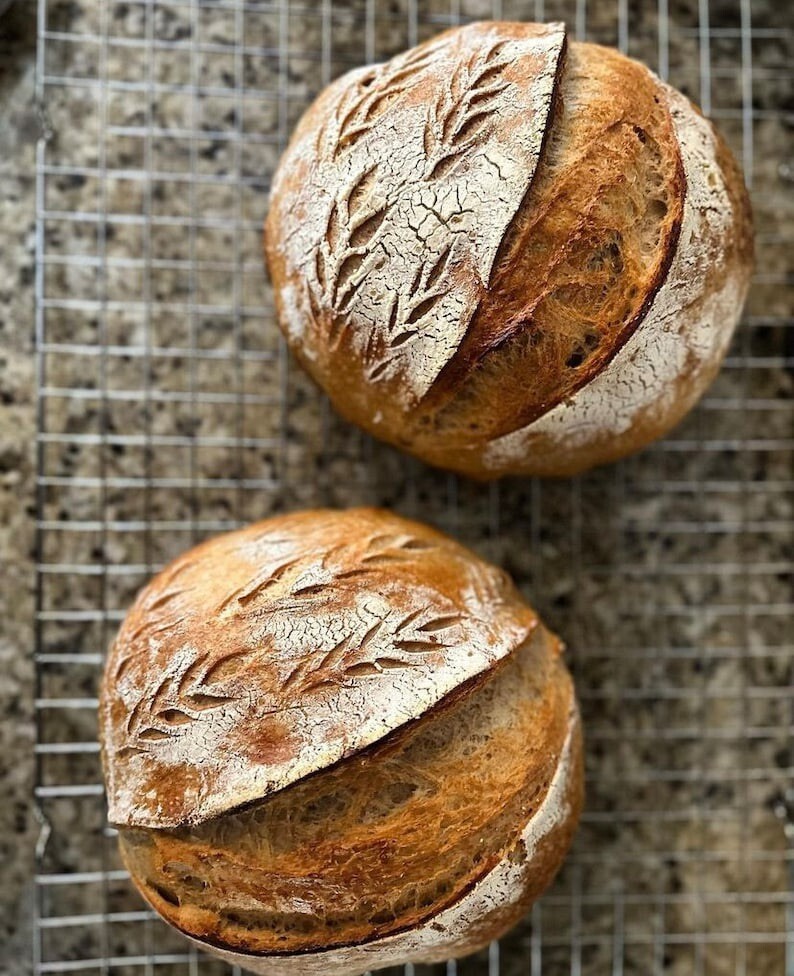 Dehydrated Sourdough starter