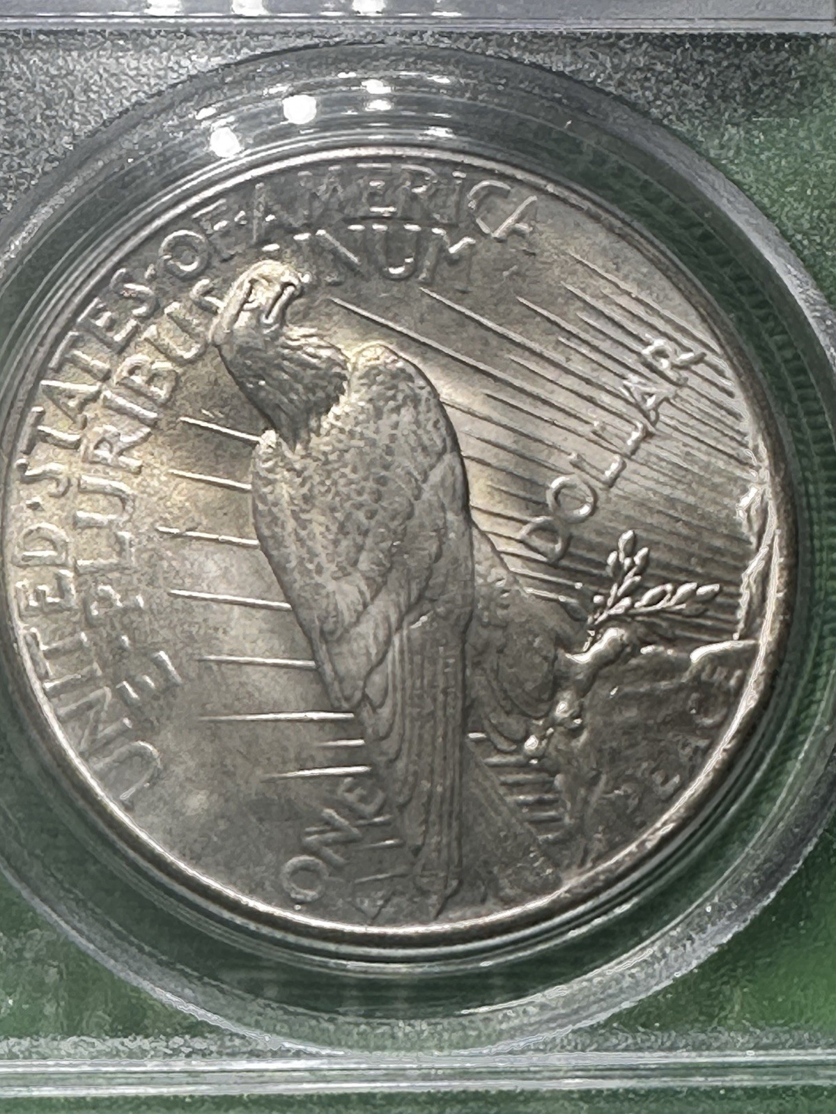 1925 Peace Silver Dollar MS65 PCGS Blue Label