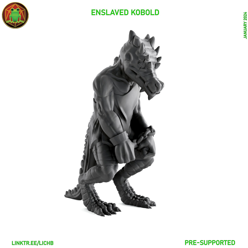 Enslaved Kobold prisoner NPC 28mm Scale DND D&D Tabletop Mini TW