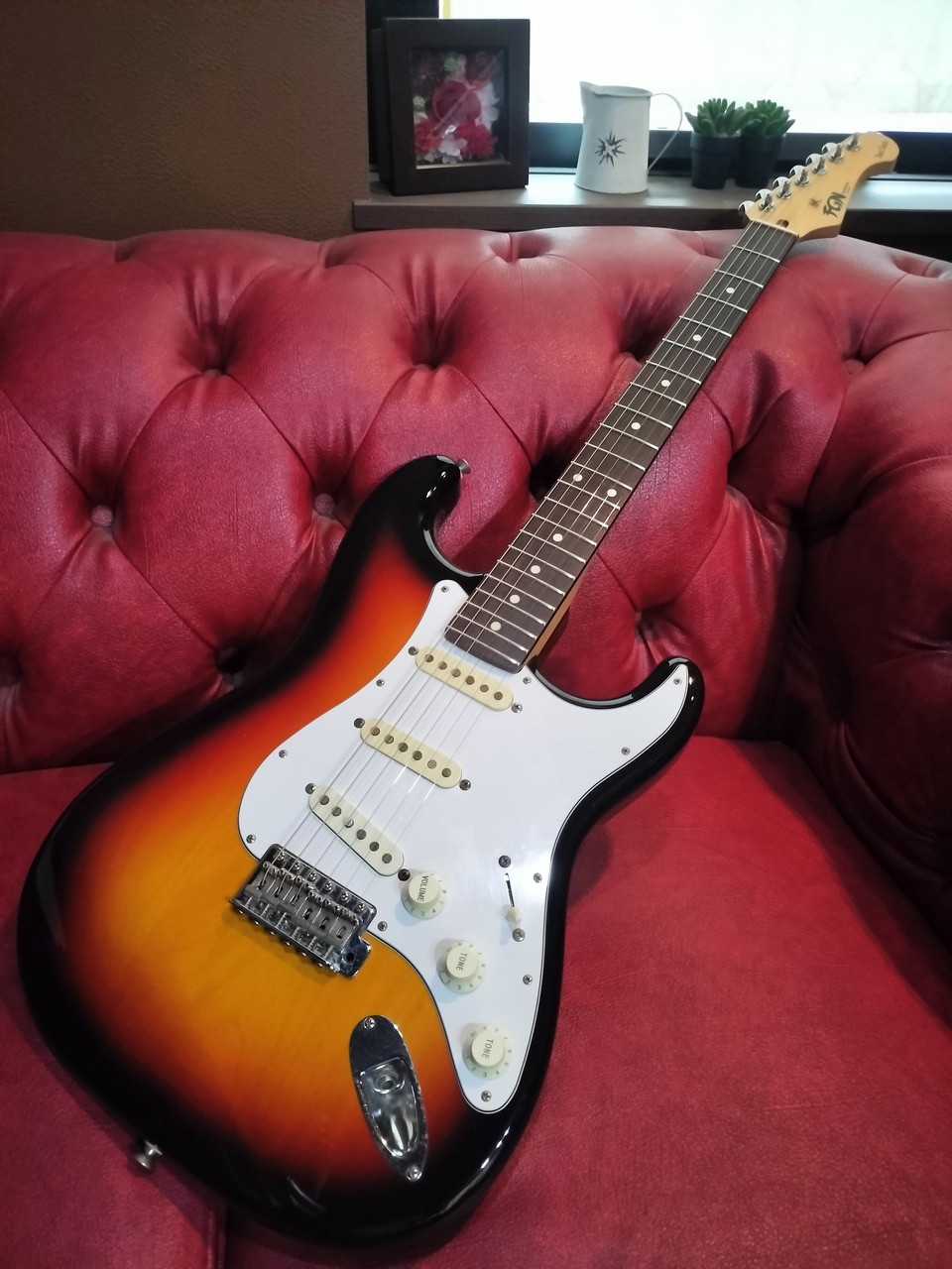 FUJIGEN FGN BCST100