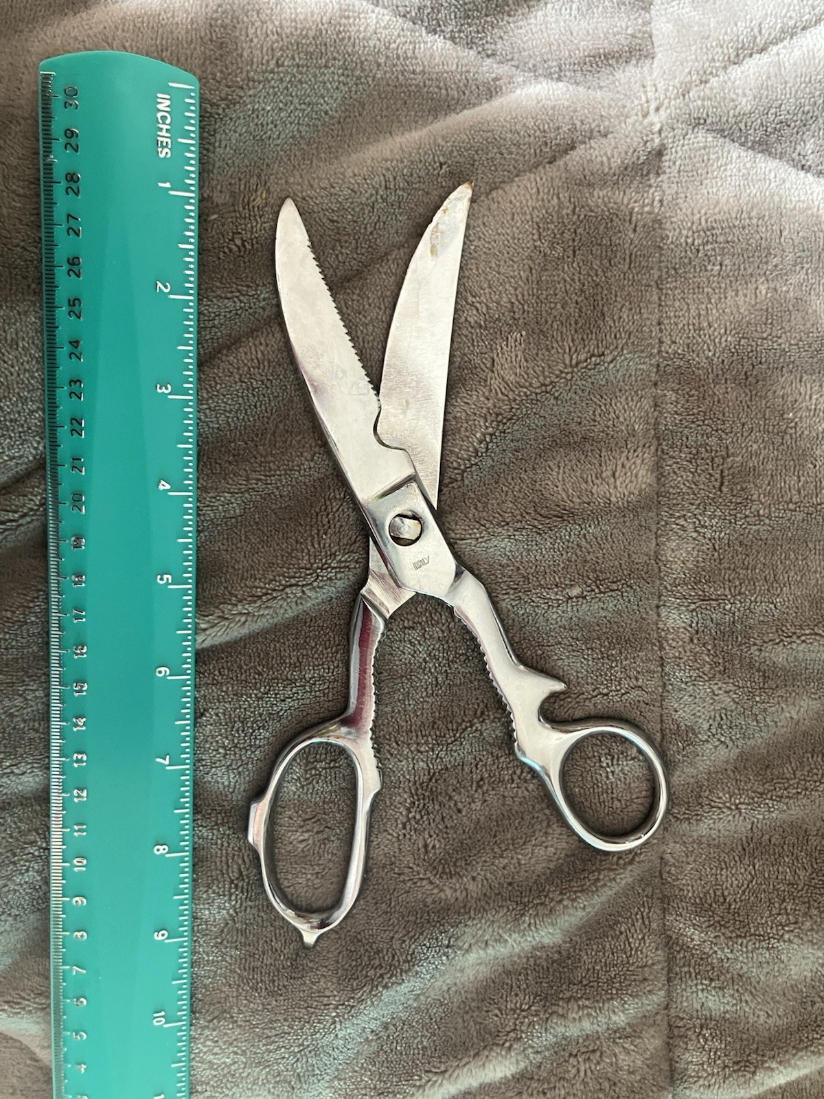 Vintage Poultry Shears, Made In Italy