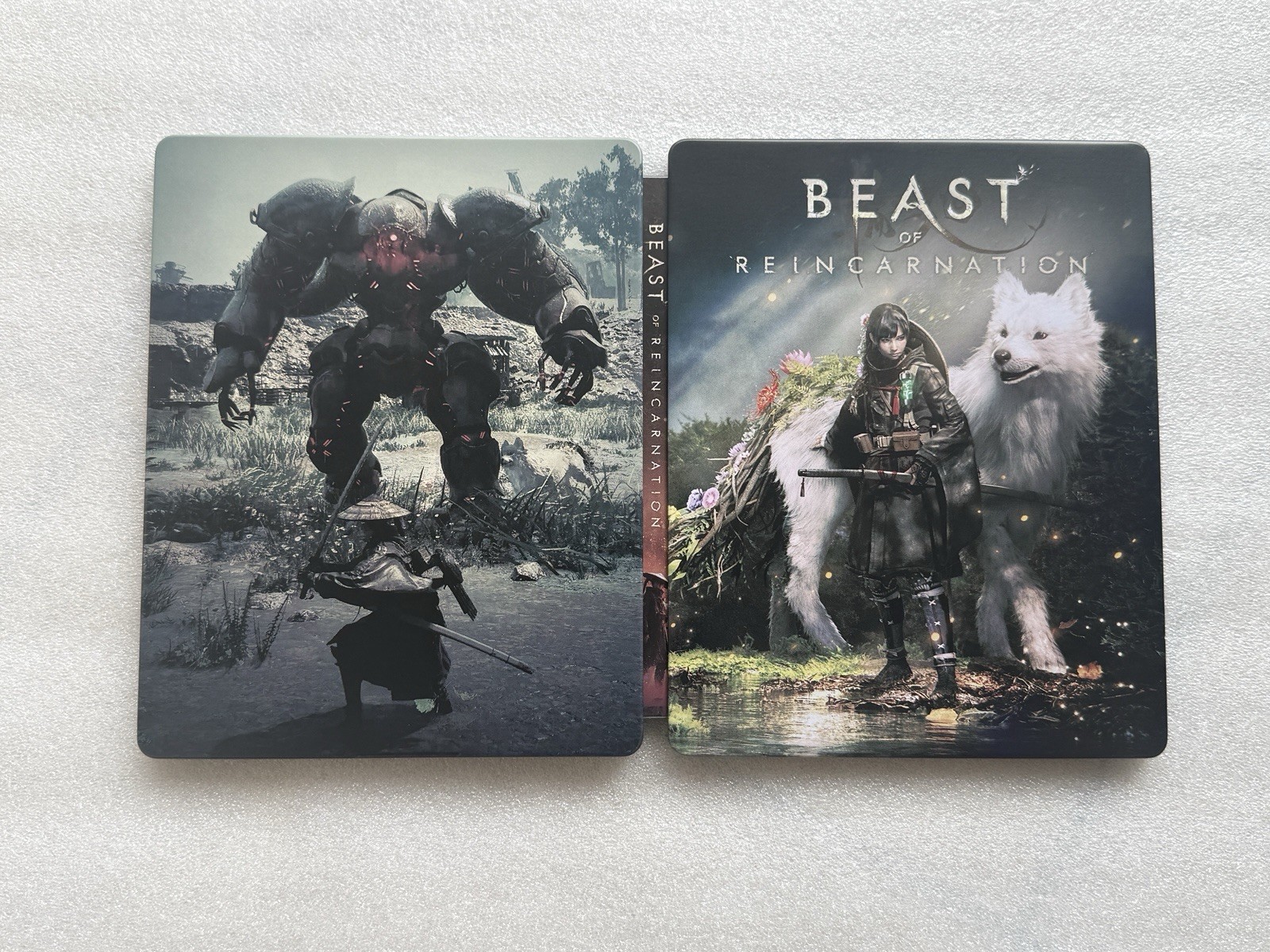 Beast Of Reincarnation Custom made G2 Steelbook/Steelup Case PS4/PS5/Xbox