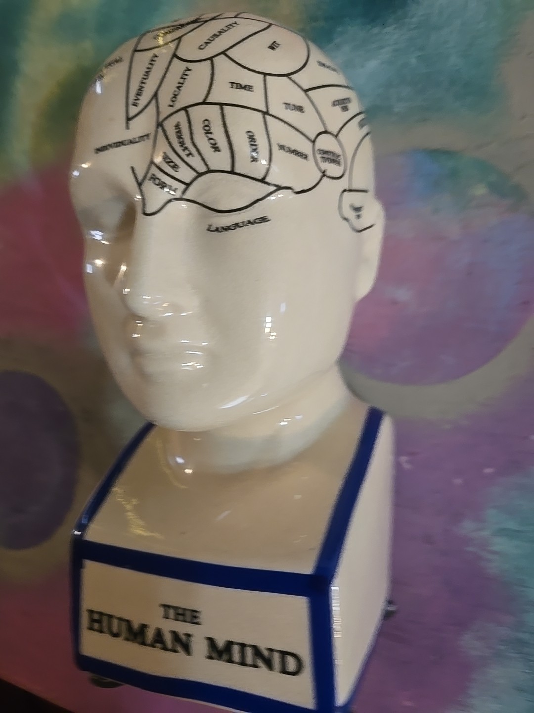 THE HUMAN MIND 7.5" Head Psychology Cerebral Brain Piggy Bank Coins