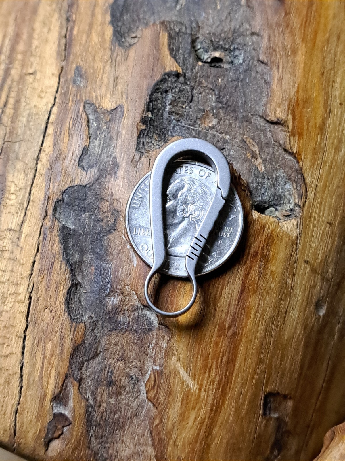 Pro Mini Series Titanium Carabiner