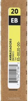 Remo Ambassador Ebony Drumhead - 20 inch