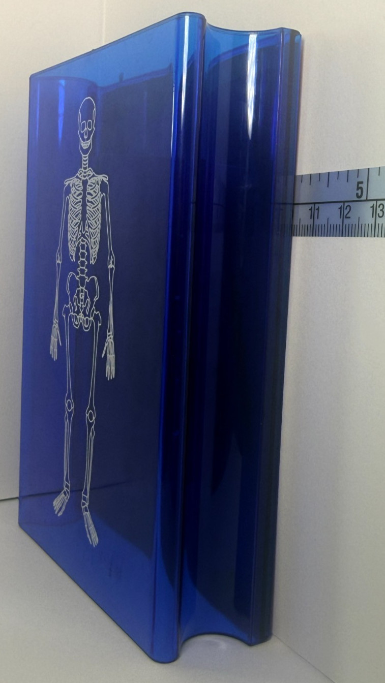 Learning Resources Skeleton Stamp Science Anatomy Classroom Homeschool
