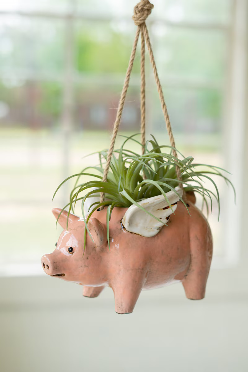 Ceramic Flying Pig Hanging Planter