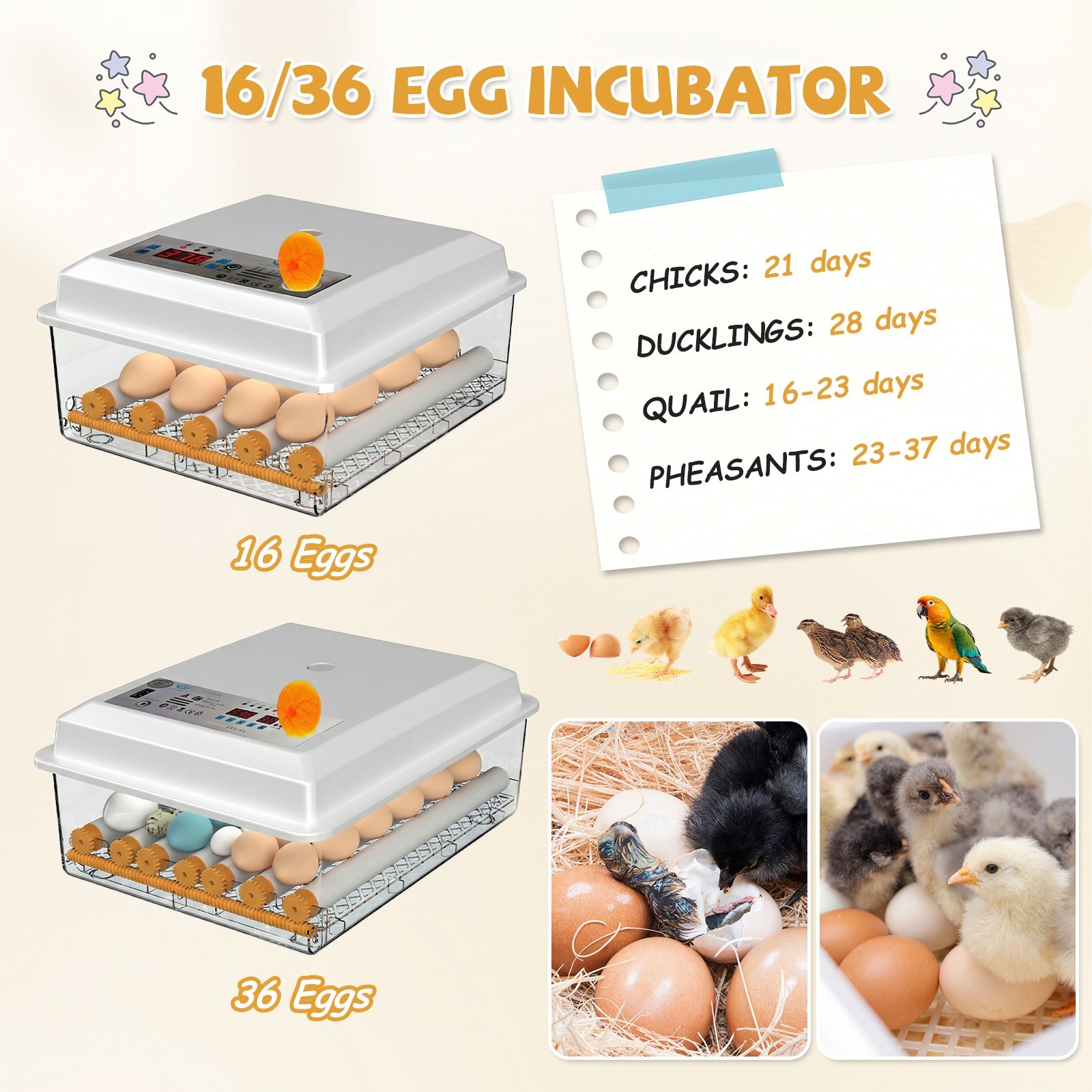 36 Eggs Incubator Digital Hatcher Temperature Control Fully Automatic Turning US