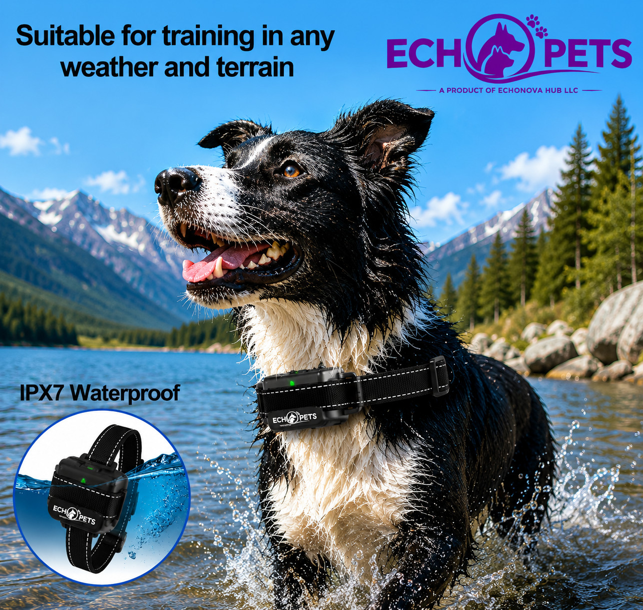 P325 2000FT Anti Bark with Remote Control Waterproof Dog Training E- Collar