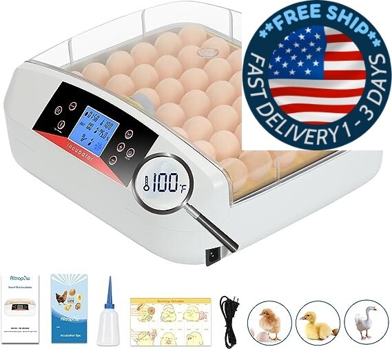 Incubadora de 42 huevos con giro automático de huevos y control automático.neuvo
