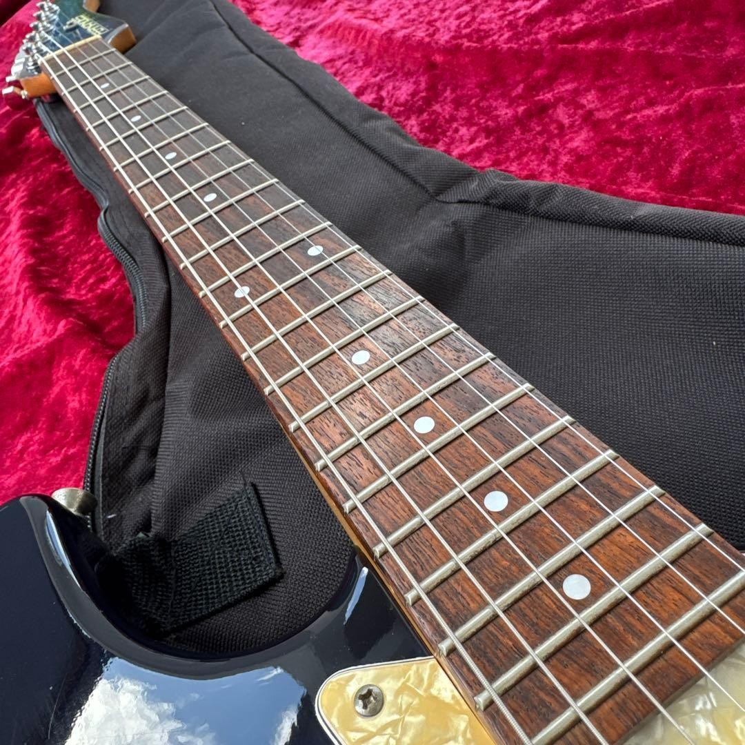 FERNANDES Japan APG-400 Single Ham Case Safe Packing!