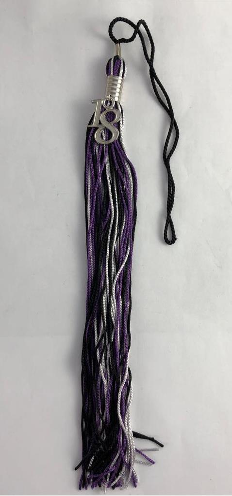 NEW Purple Black & Gray Class of 2018 Silver Charm Graduation Tassel 9" Jostens