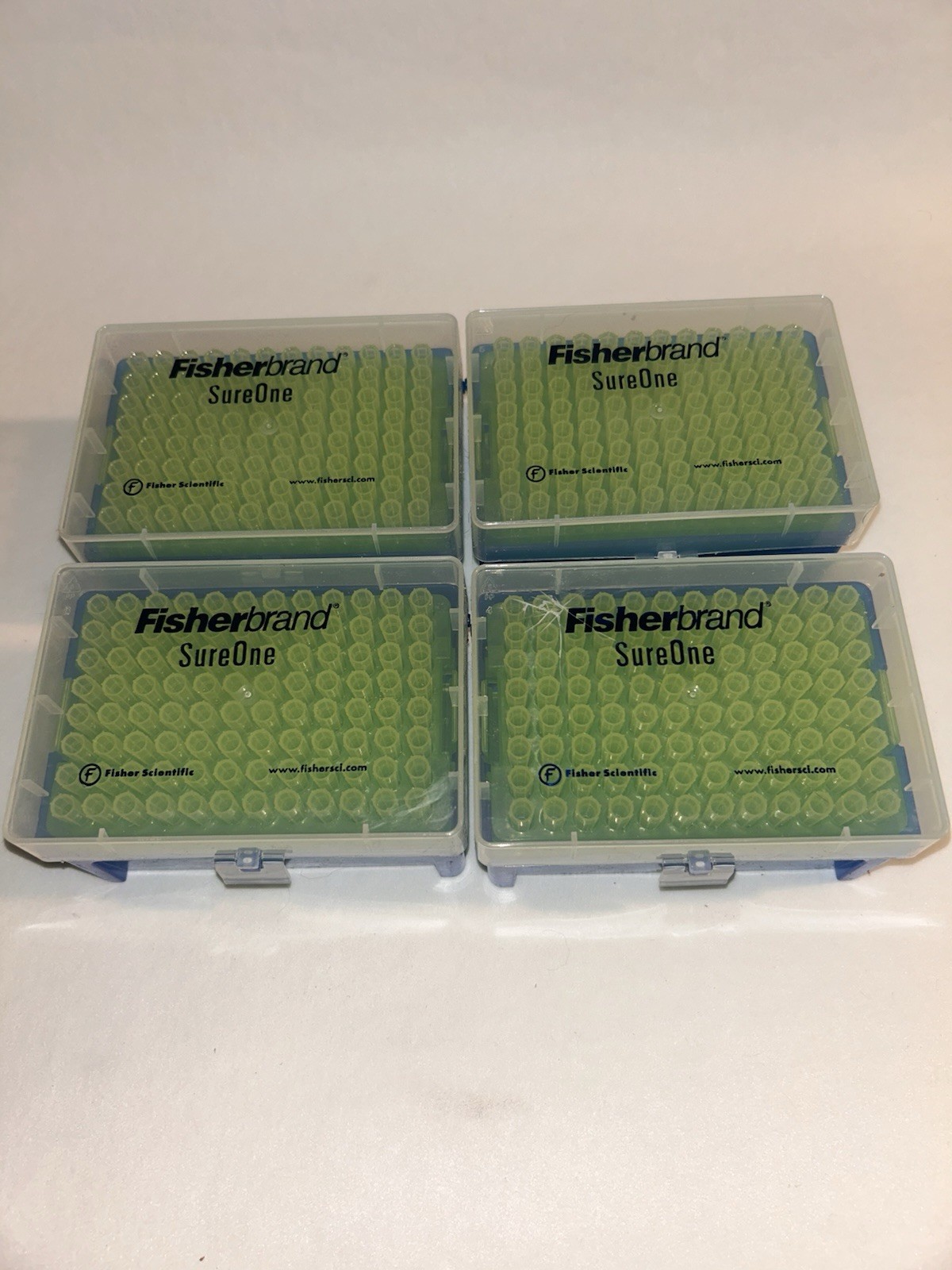 Fisherbrand SureOne Pipette Tips (384)