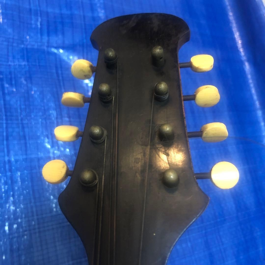 Wooden mandolin 8 string flower pattern