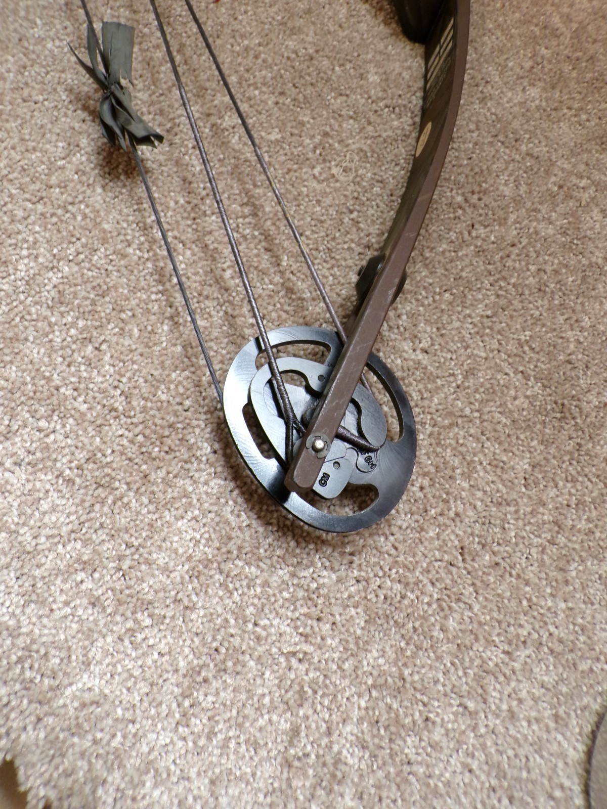 Vtg NOS Proline Point Blank "New Wave" Compound Bow 60-80 Lb RH
