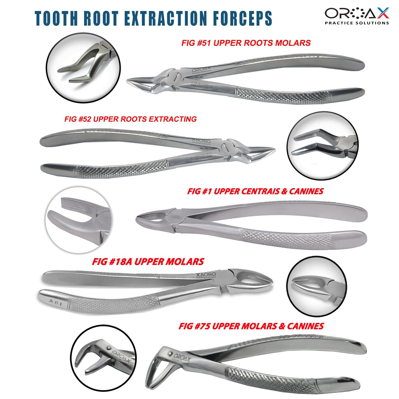 OROAX™ Extraction Forceps Upper Lower Molar Canines Premolars Surgical Tool
