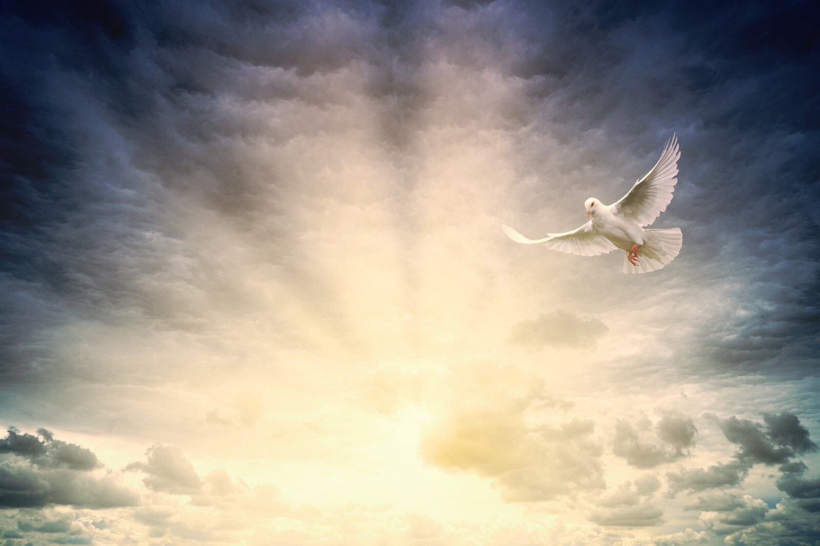 Psychic Gift Reading Same Day