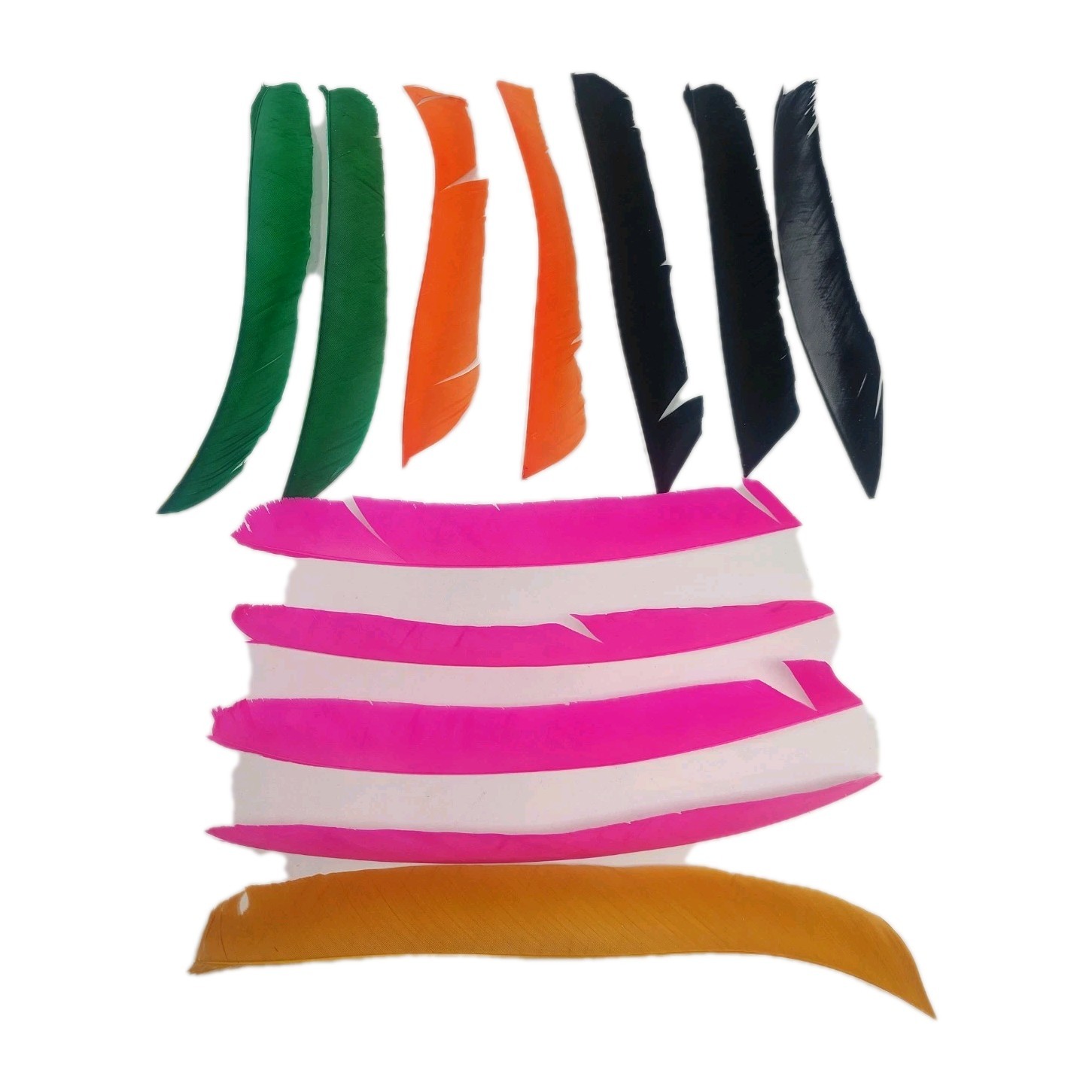 12 Count Gateway Feathers FULL LENGTH Right Wing Lot: Pink, Black, Orange, Green