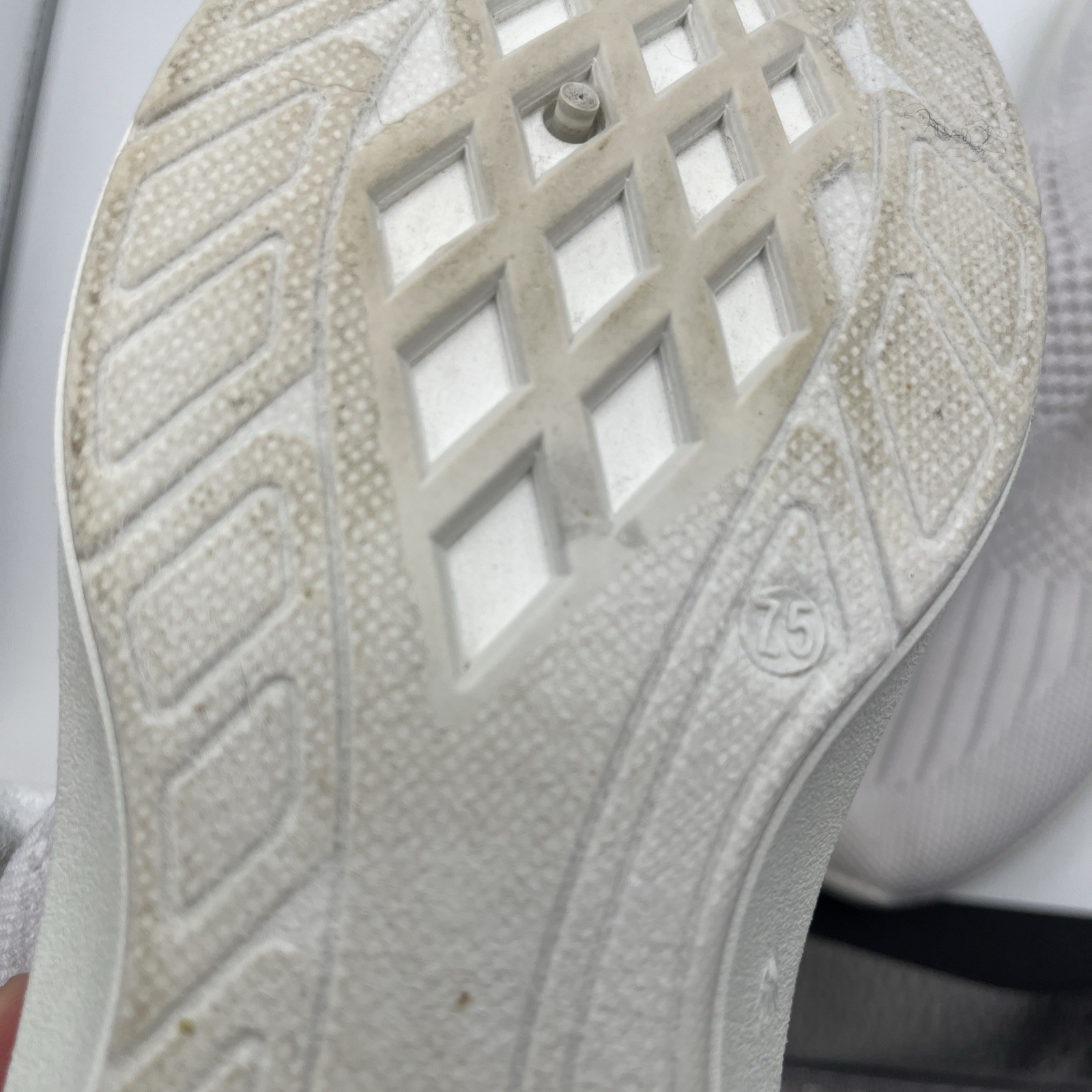 Tommy Bahama White Shoes Women’s