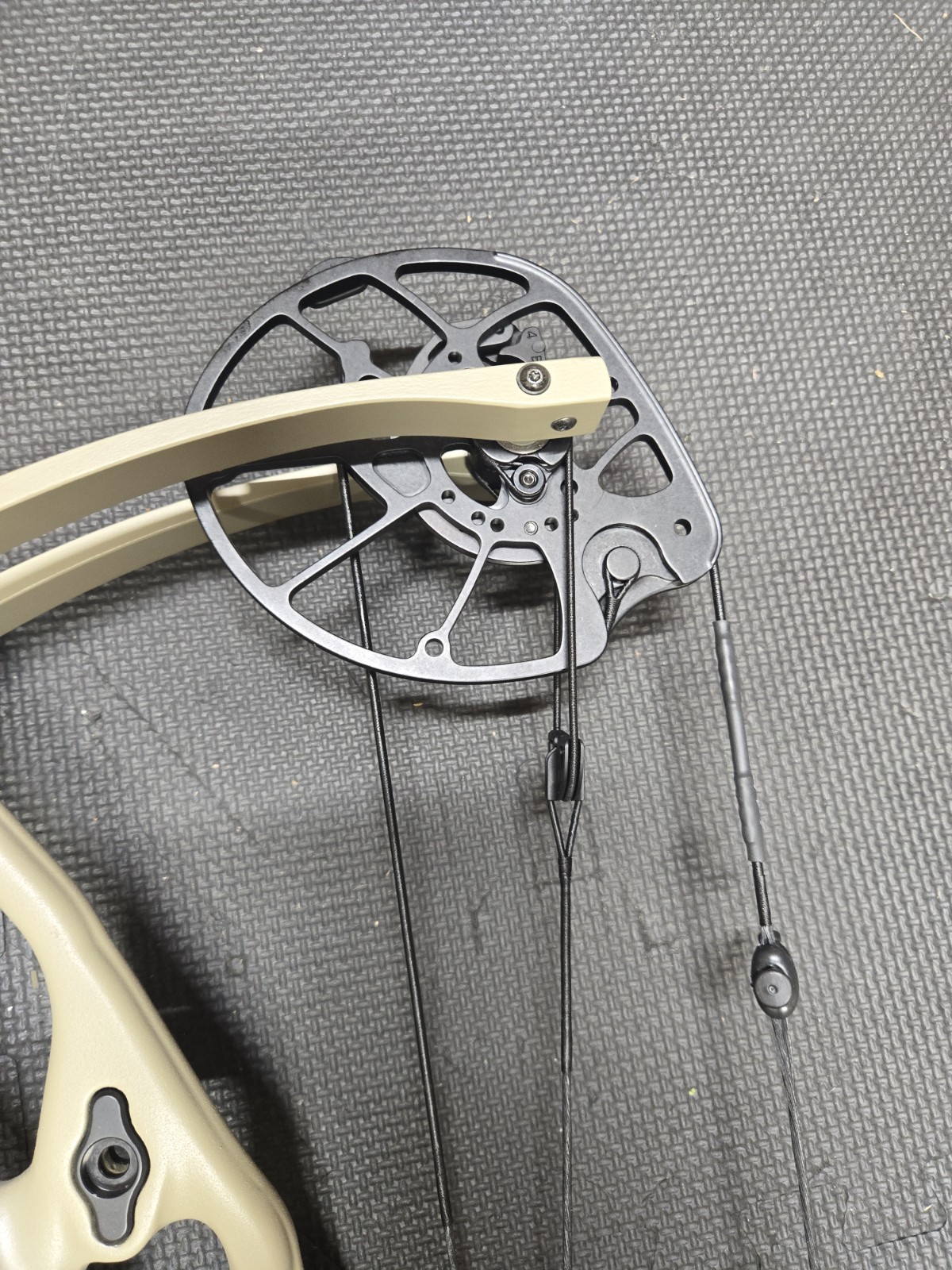 Hoyt Rx10 Ultra
