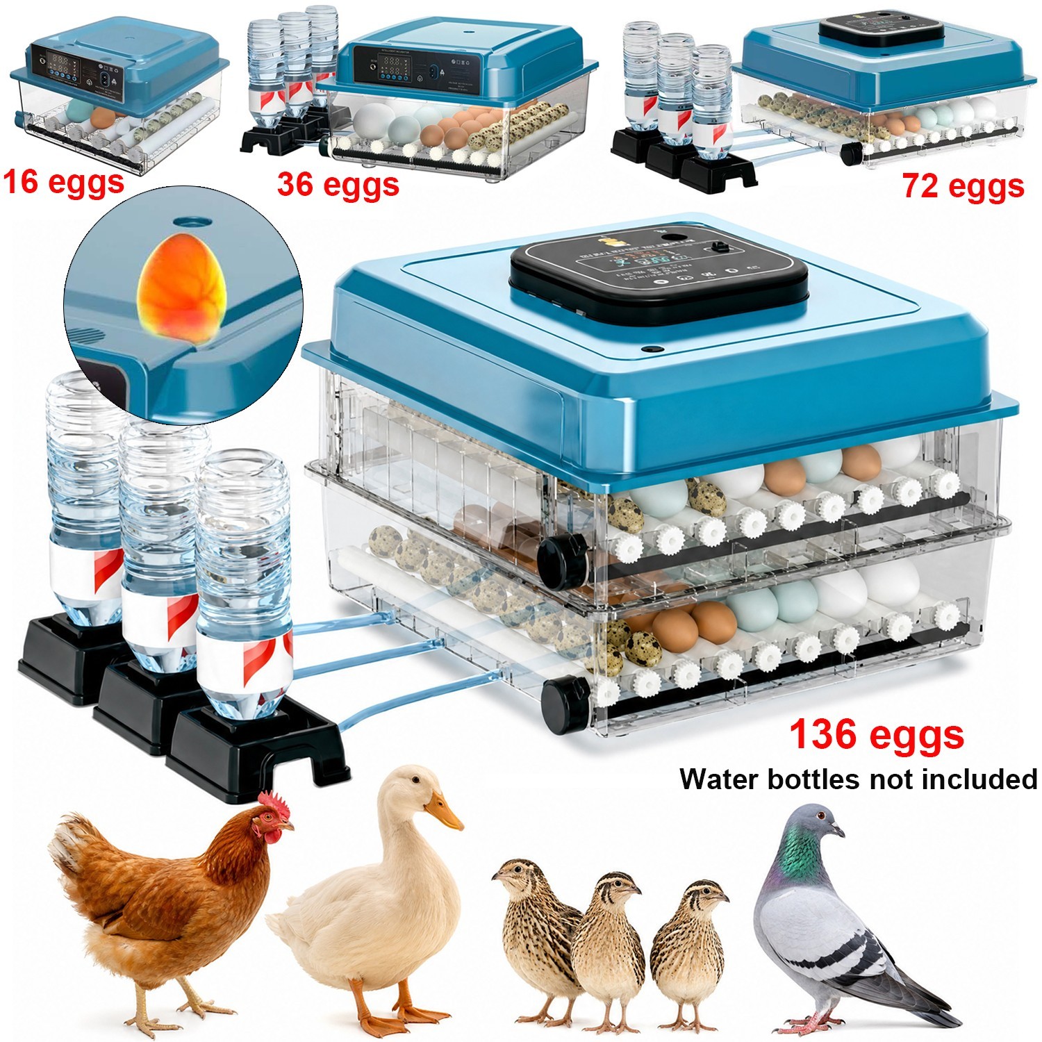 16/36 Egg Incubator Chicken Quail Hatcher Incubators Automatic Egg Turning US
