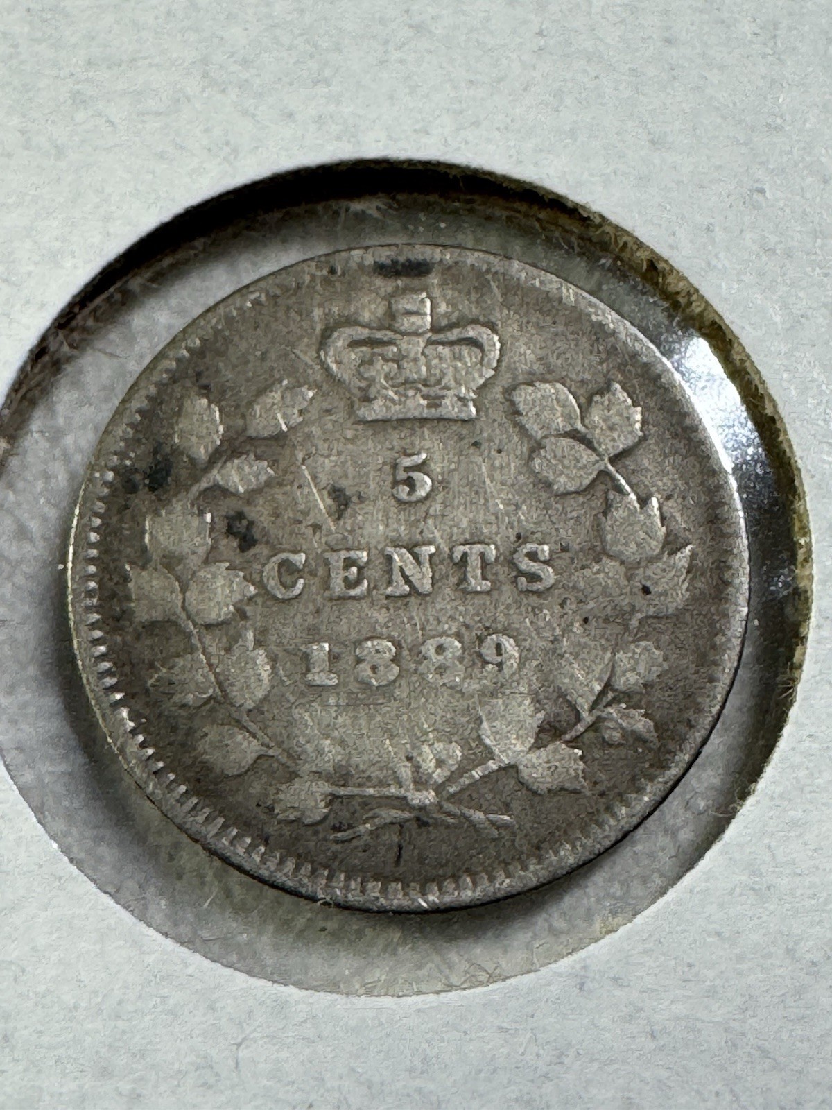 1889 Canada 5 Cents Small Silver Coin Cleaned